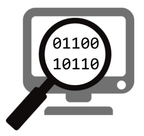 Demystifying Computer Science logo